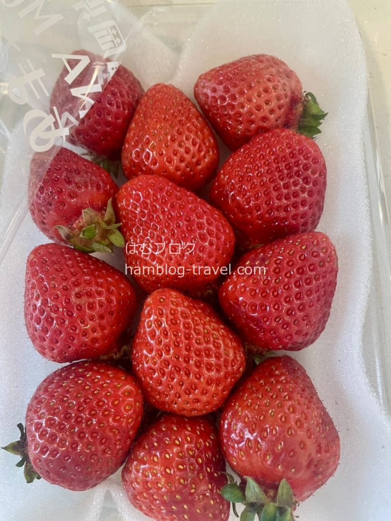 ふるさと納税 いちご