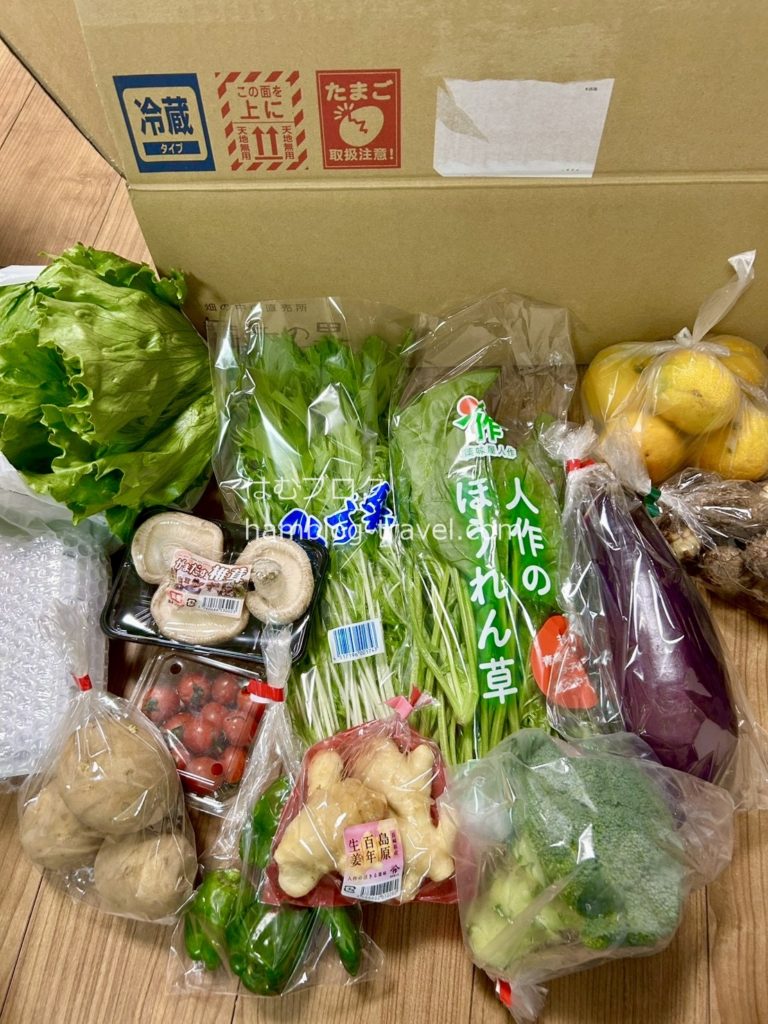 ふるさと納税　野菜