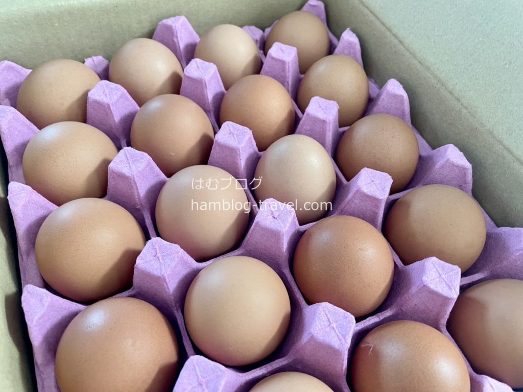 ふるさと納税　たまご